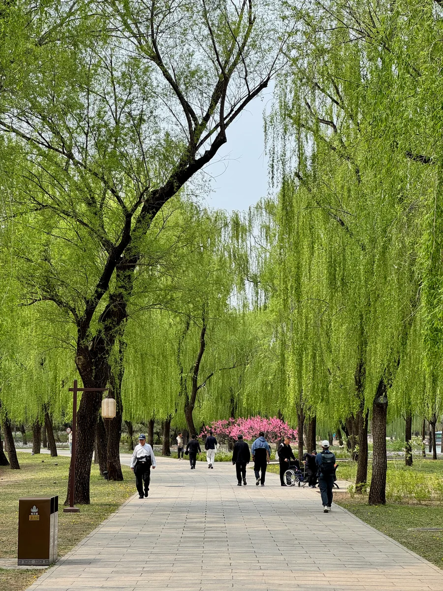Beijing 01a_Peking_BestOf - 28 of 52.jpeg